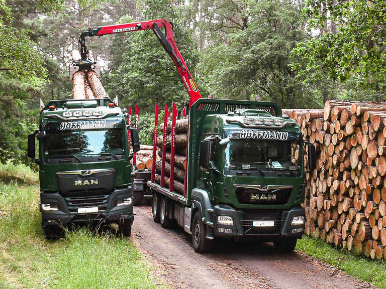 zwei LKW mit Holz